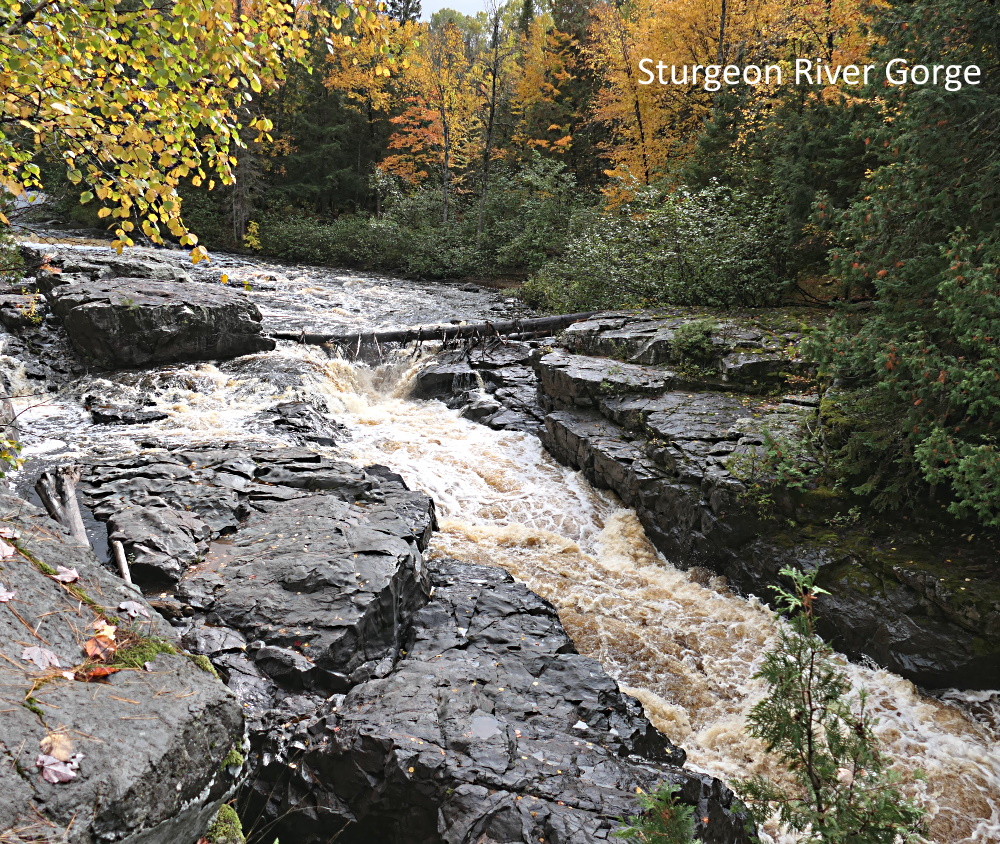 Road Trip of the Week Sturgeon River