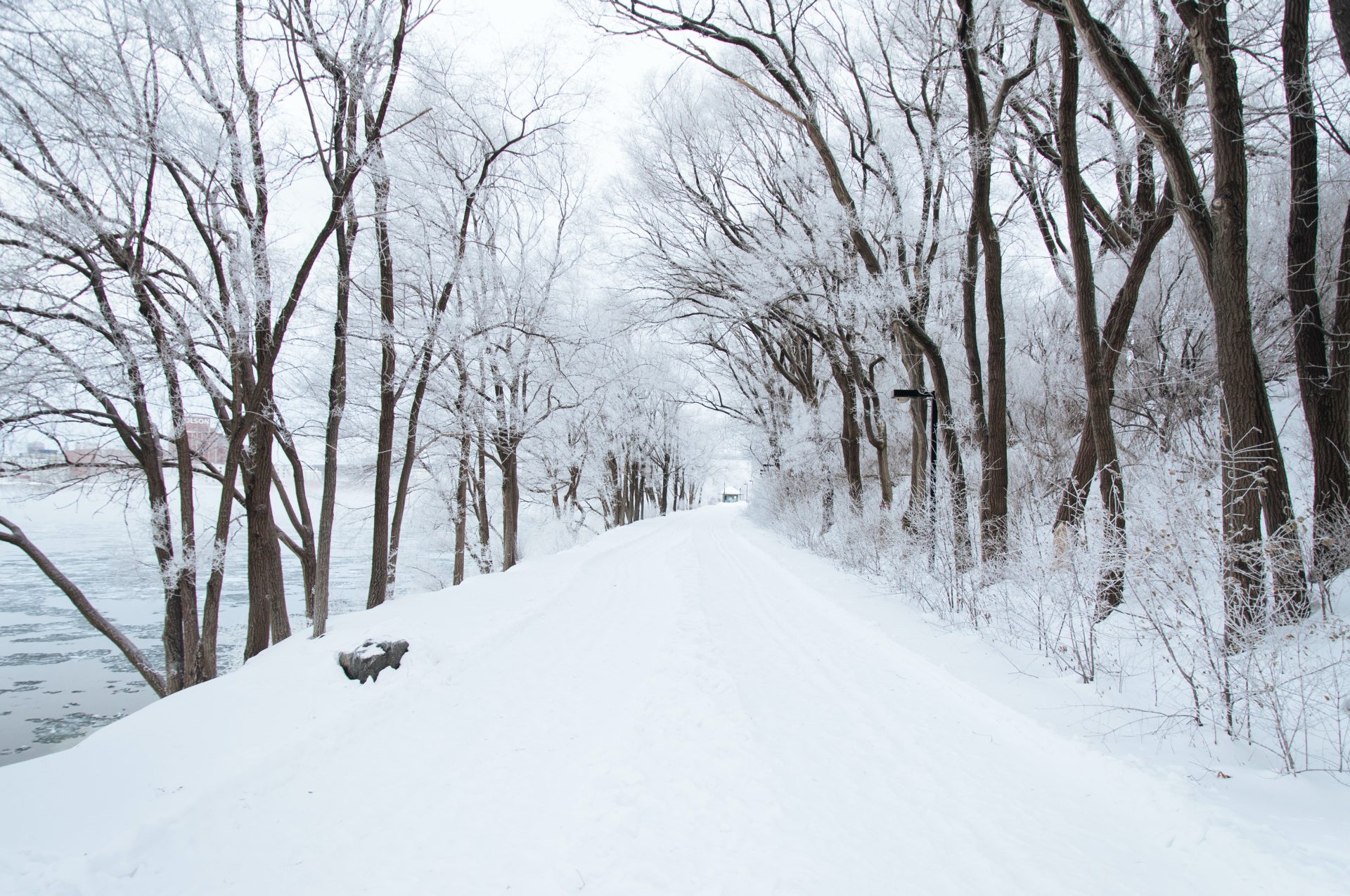 Michigan Snowfall as Unpredictable as Michigan Weather