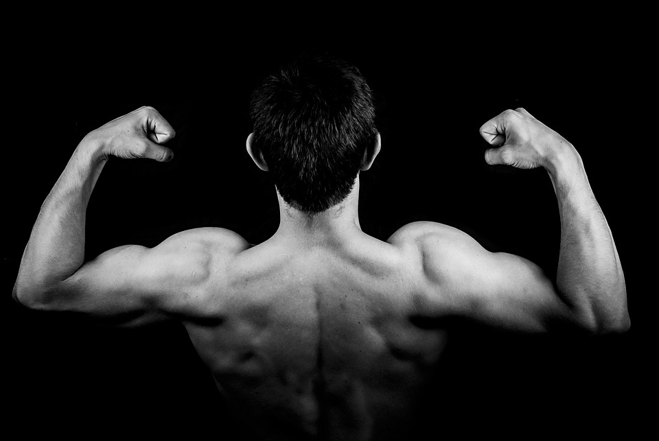 Flex Those Muscles World's Strongest Man Competition Returns To