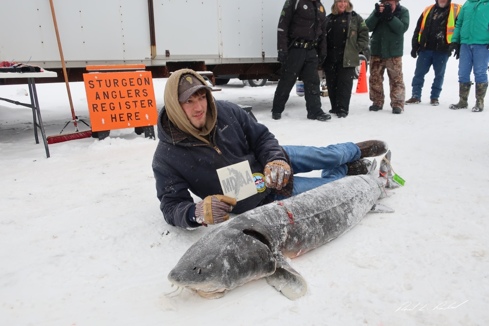 An Annual Tradition The Black Lake Sturgeon Shivaree
