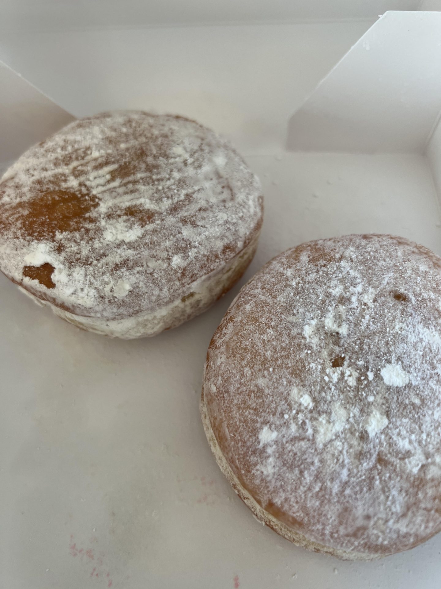 Paczki Day 2025 Date Tampa Nani Michaela