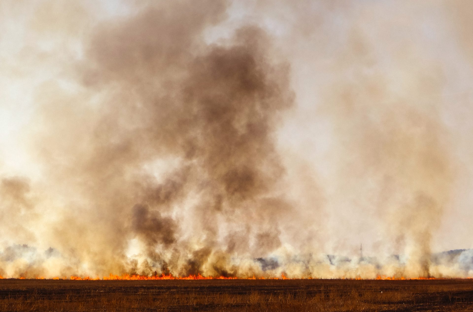 Grayling Wildfire is 100 Contained But Not Extinguished. What’s the