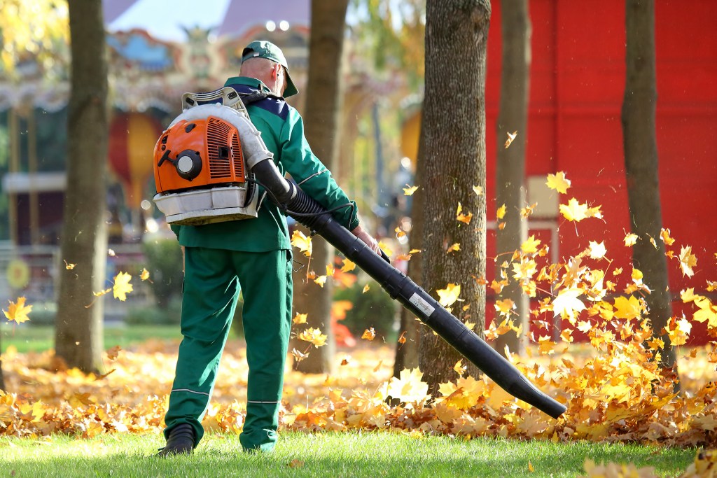 A Blow to Leaf Blowing Ann Arbor Democrats Declare War on GasPowered