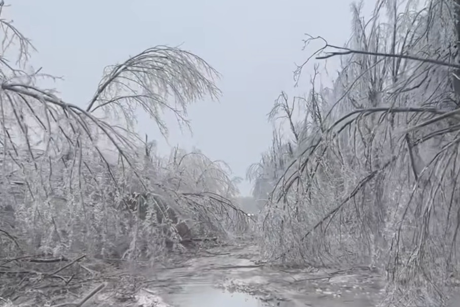 Whitmer Declares Emergency After Ice Storm Paralyzes Northern Michigan