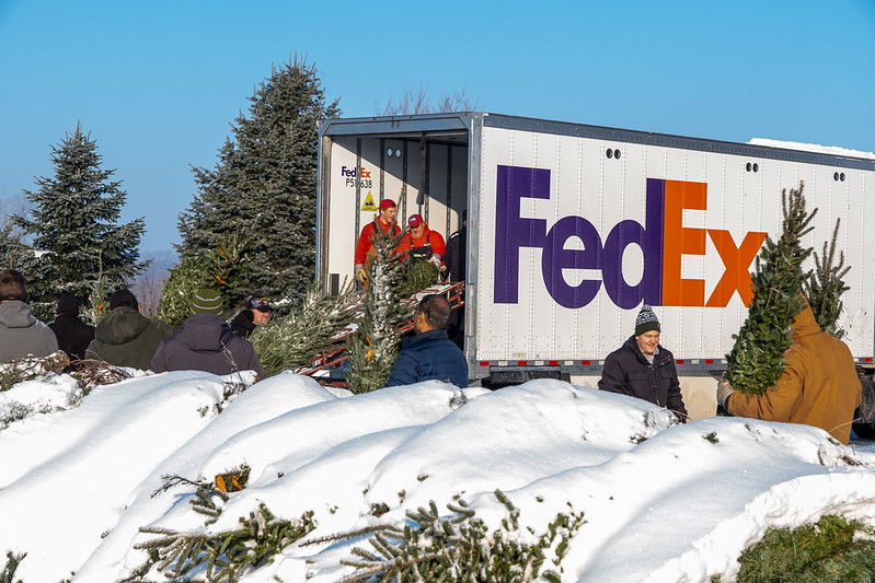 Christmas with Purpose: Michigan Farmers Send Christmas Trees to ...